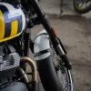 DSC02388 2027 Royal Enfield Bear 650 - Wild Honey