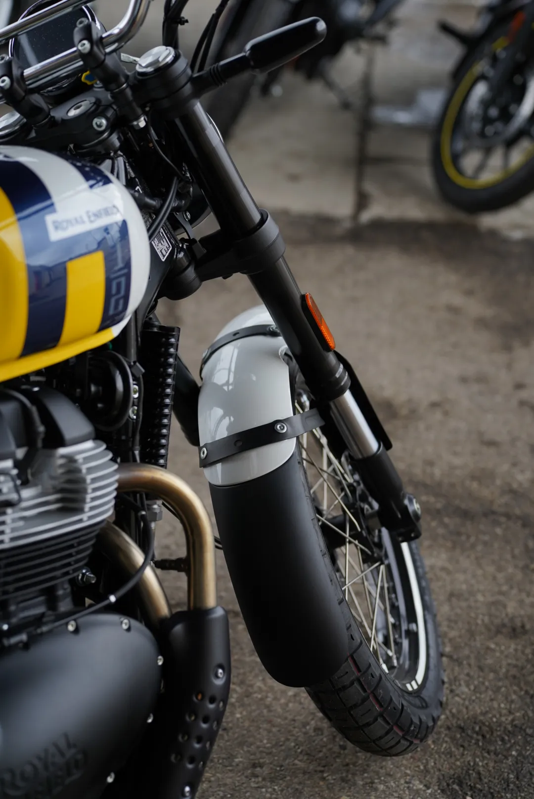 DSC02388 2027 Royal Enfield Bear 650 - Wild Honey