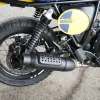 DSC02389 2027 Royal Enfield Bear 650 - Wild Honey