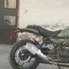 2027 Royal Enfield Guerrilla 450 - Shadow Ash Green