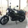 2027 Royal Enfield Guerrilla 450 - Shadow Ash Green