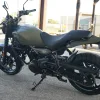 2027 Royal Enfield Guerrilla 450 - Shadow Ash Green