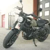 2027 Royal Enfield Guerrilla 450 - Shadow Ash Green