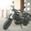 2027 Royal Enfield Guerrilla 450 - Shadow Ash Green