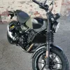 2027 Royal Enfield Guerrilla 450 - Shadow Ash Green