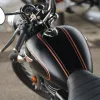 DSC02919wp 2024 Royal Enfield Bullet 350 - Used