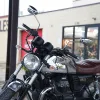 DSC03610 2017 Moto Guzzi V7 III - Anniversario