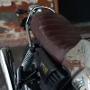 DSC03658 2017 Moto Guzzi V7 III - Anniversario