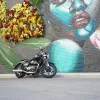 2024 Royal Enfield Super Meteor 650 - Astral Green