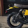 DSC08889 2026 Royal Enfield Bear 650 - Kodiak Edition