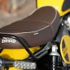 DSC08902 2026 Royal Enfield Bear 650 - Kodiak Edition