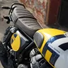 DSC08910 2026 Royal Enfield Bear 650 - Kodiak Edition