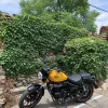 2024 Royal Enfield Meteor 350 - Fireball Yellow - DEMO